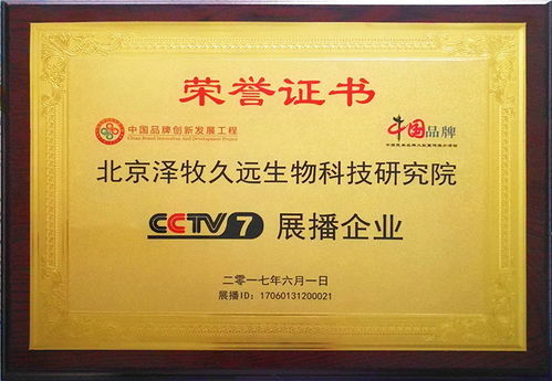 育肥羊飼料報(bào)價(jià)、廠家推薦與技術(shù)轉(zhuǎn)讓全解析